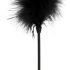 Pluma - Nican