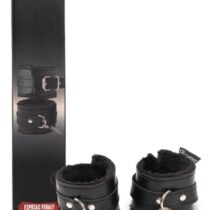 CT-PEP-029-FERALY 1